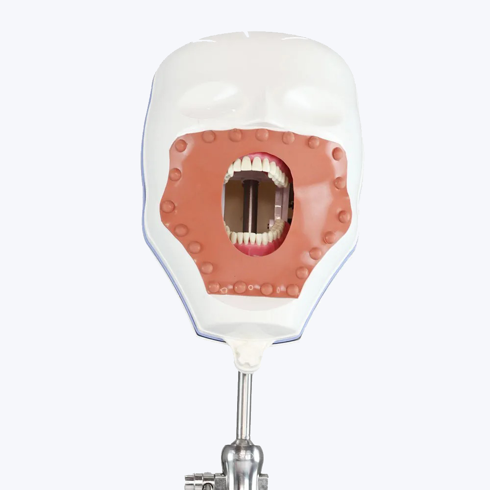 Ashoosons API Phantom Head Complete